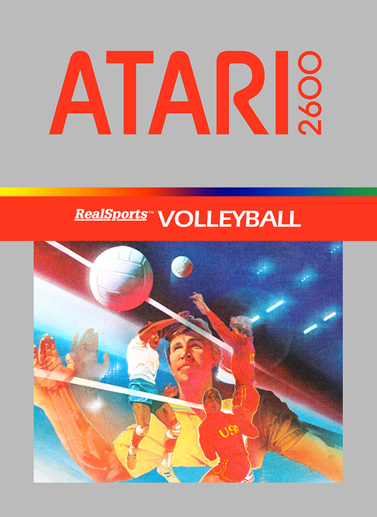 RealSports Volleyball