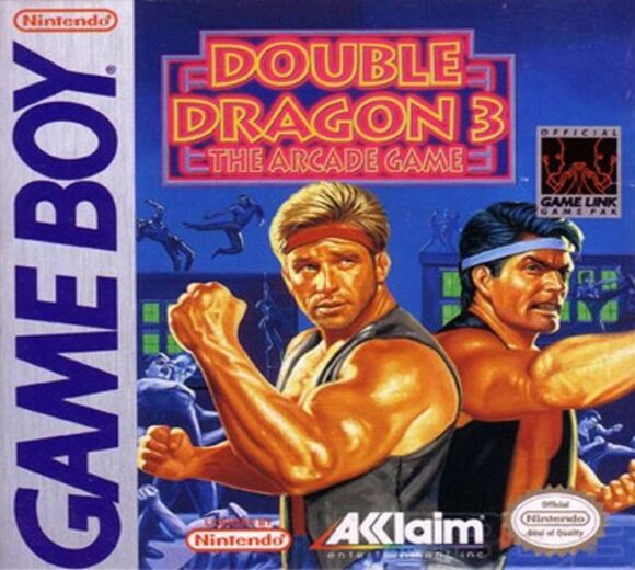 Double Dragon 3: The Arcade Game