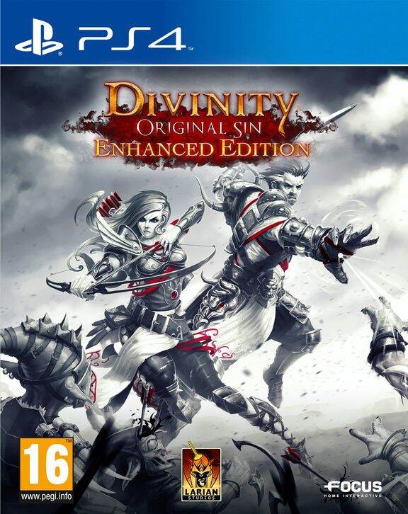 Divinity: Original Sin [Enhanced Edition]
