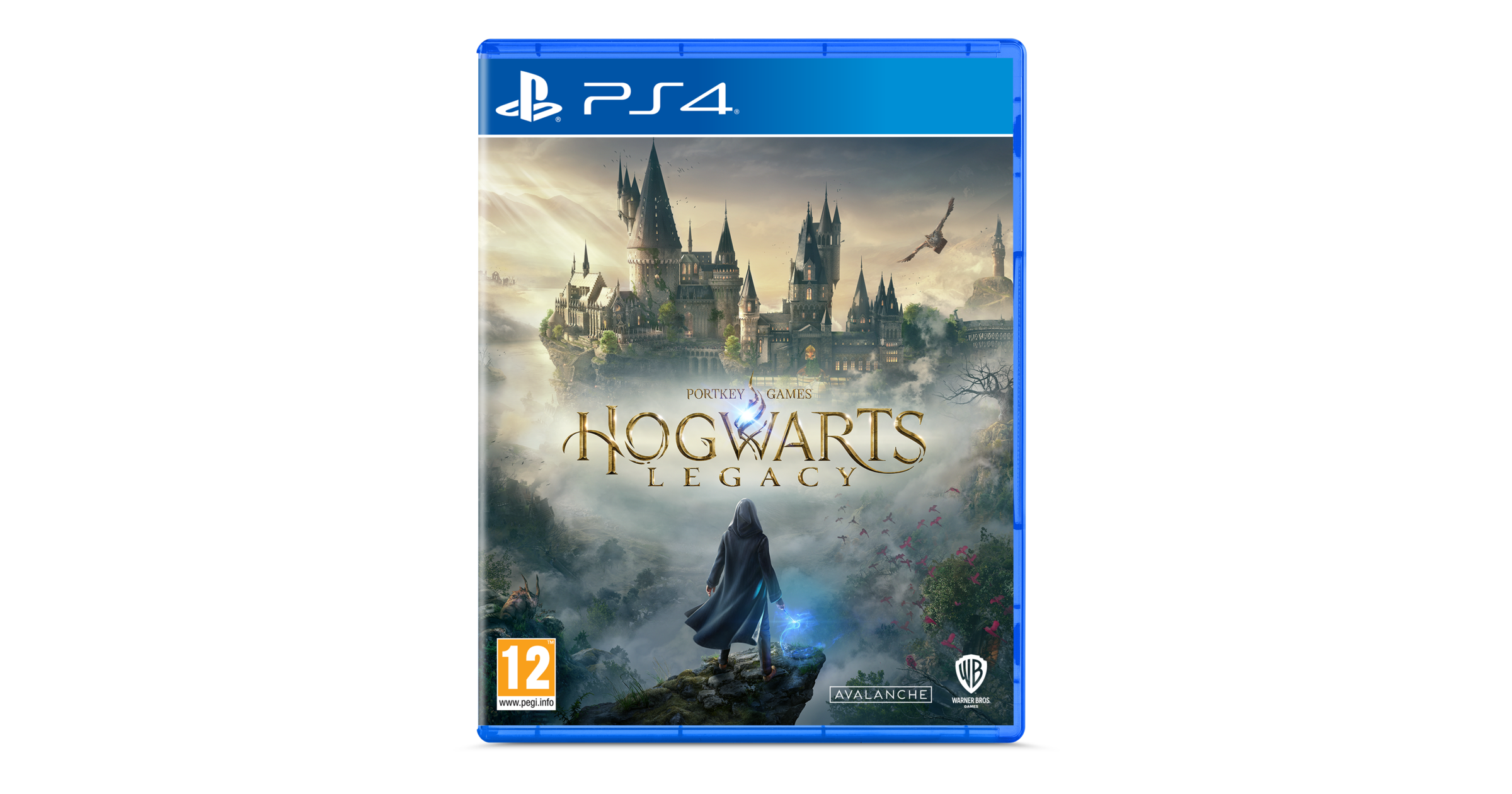Hogwarts Legacy (PlayStation 4)