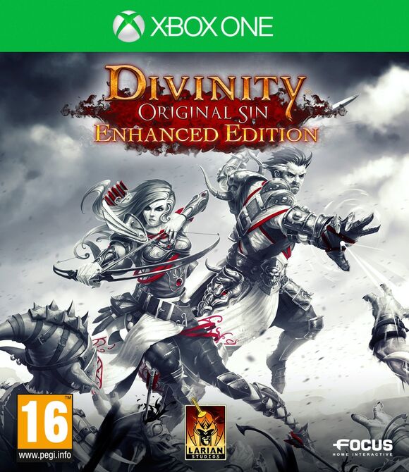 Divinity: Original Sin [Enhanced Edition]